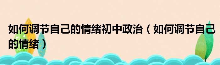 如何调节自己的情绪初中政治（如何调节自己的情绪）