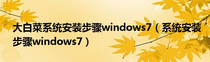 大白菜系统安装步骤windows7（系统安装步骤windows7）