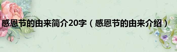 感恩节的由来简介20字（感恩节的由来介绍）