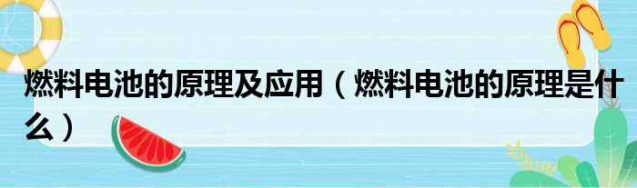 燃料电池的原理及应用（燃料电池的原理是什么）