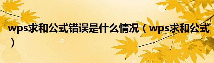 wps求和公式错误是什么情况（wps求和公式）