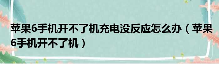 苹果6手机开不了机充电没反应怎么办（苹果6手机开不了机）