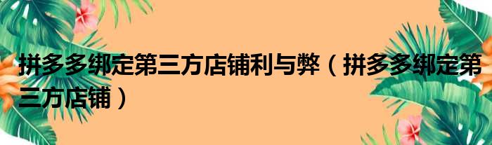 拼多多绑定第三方店铺利与弊（拼多多绑定第三方店铺）