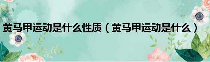 黄马甲运动是什么性质（黄马甲运动是什么）