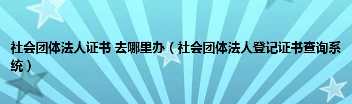 社会团体法人证书 去哪里办（社会团体法人登记证书查询系统）