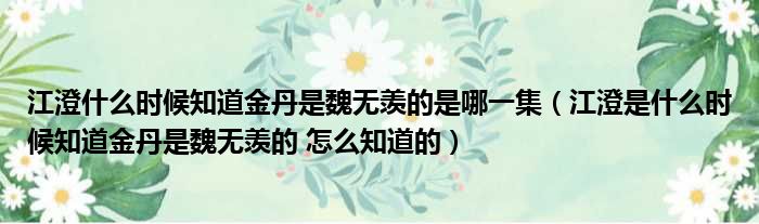 江澄什么时候知道金丹是魏无羡的是哪一集（江澄是什么时候知道金丹是魏无羡的 怎么知道的）