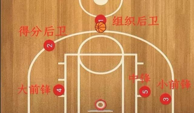 篮球1到5号位站位图解（篮球1-5号位分别是什么）(图5)