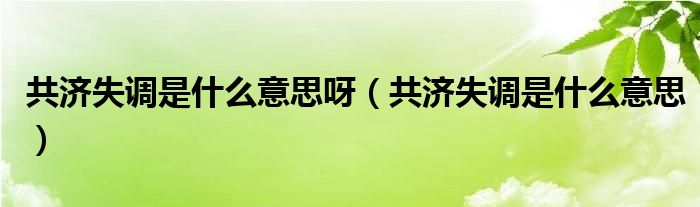 共济失调是什么意思呀（共济失调是什么意思）