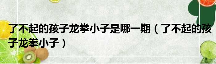 了不起的孩子龙拳小子是哪一期（了不起的孩子龙拳小子）