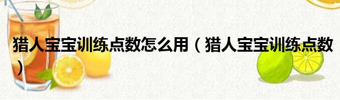 猎人宝宝训练点数怎么用（猎人宝宝训练点数）