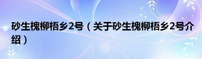  砂生槐柳梧乡2号（关于砂生槐柳梧乡2号介绍）