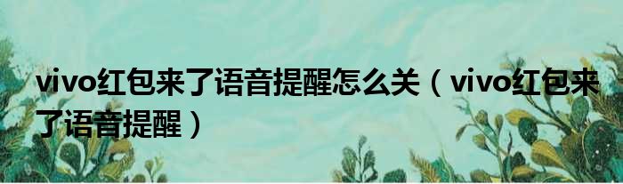 vivo红包来了语音提醒怎么关（vivo红包来了语音提醒）