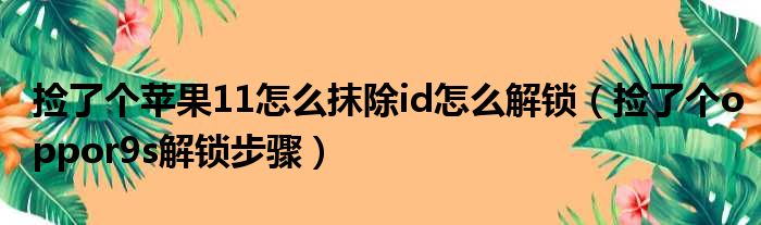 捡了个苹果11怎么抹除id怎么解锁（捡了个oppor9s解锁步骤）