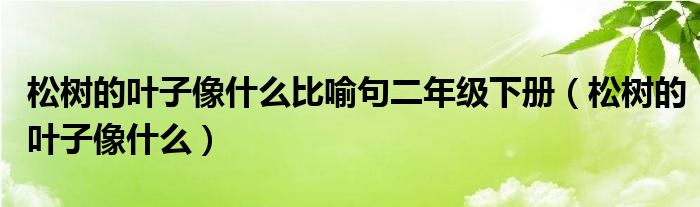 松树的叶子像什么比喻句二年级下册（松树的叶子像什么）