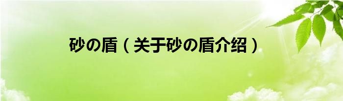  砂の盾（关于砂の盾介绍）