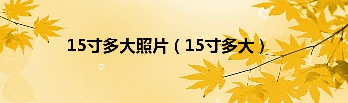 15寸多大照片（15寸多大）