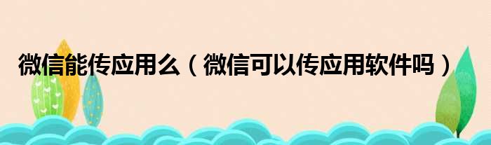 微信能传应用么（微信可以传应用软件吗）