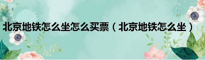 北京地铁怎么坐怎么买票（北京地铁怎么坐）