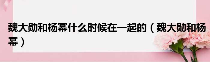 魏大勋和杨幂什么时候在一起的（魏大勋和杨幂）