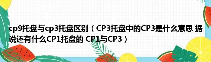 cp9托盘与cp3托盘区别（CP3托盘中的CP3是什么意思 据说还有什么CP1托盘的 CP1与CP3）