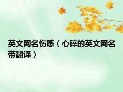 英文网名伤感（心碎的英文网名带翻译）