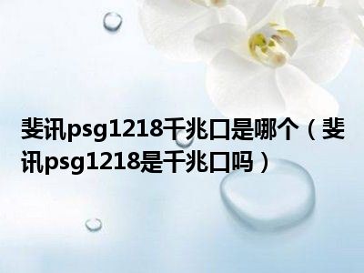 斐讯psg1218千兆口是哪个（斐讯psg1218是千兆口吗）