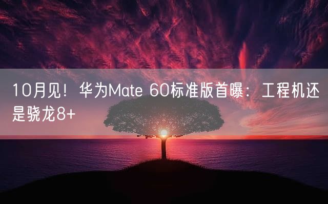 10月见！华为Mate 60标准版首曝：工程机还是骁龙8+