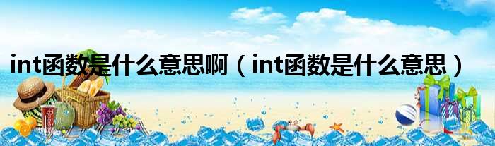 int函数是什么意思啊（int函数是什么意思）