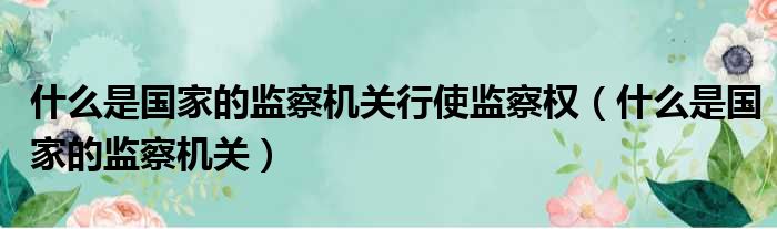 什么是国家的监察机关行使监察权（什么是国家的监察机关）