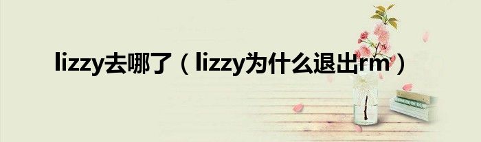 lizzy去哪了（lizzy为什么退出rm）