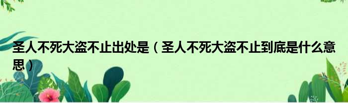 圣人不死大盗不止出处是（圣人不死大盗不止到底是什么意思）