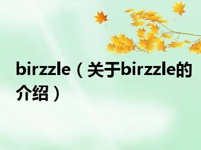 birzzle（关于birzzle的介绍）