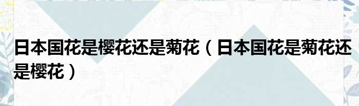 日本国花是樱花还是菊花（日本国花是菊花还是樱花）