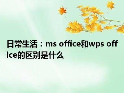 日常生活：ms office和wps office的区别是什么