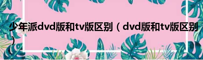 少年派dvd版和tv版区别（dvd版和tv版区别）