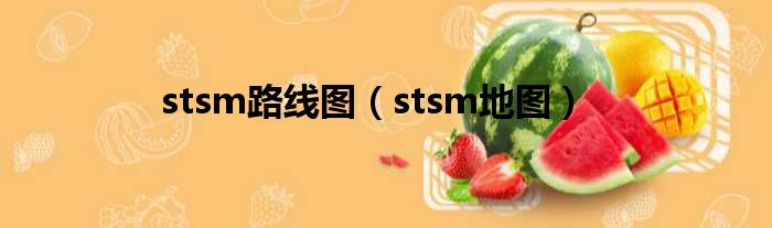 stsm路线图（stsm地图）