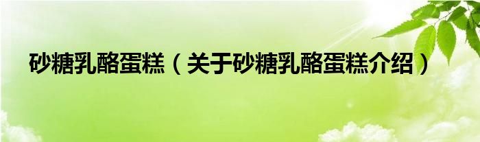  砂糖乳酪蛋糕（关于砂糖乳酪蛋糕介绍）