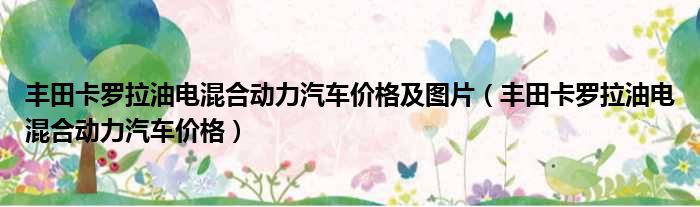 丰田卡罗拉油电混合动力汽车价格及图片（丰田卡罗拉油电混合动力汽车价格）