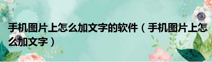 手机图片上怎么加文字的软件（手机图片上怎么加文字）