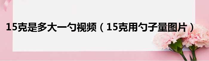 15克是多大一勺视频（15克用勺子量图片）