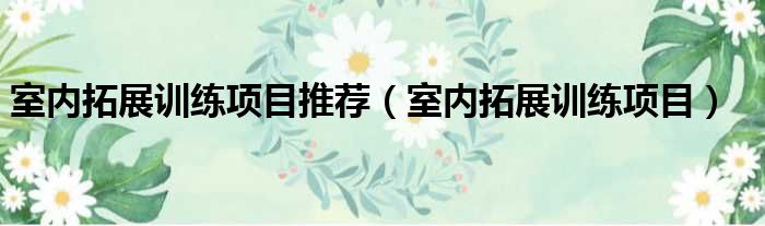 室内拓展训练项目推荐（室内拓展训练项目）