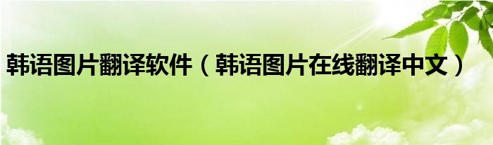 韩语图片翻译软件（韩语图片在线翻译中文）