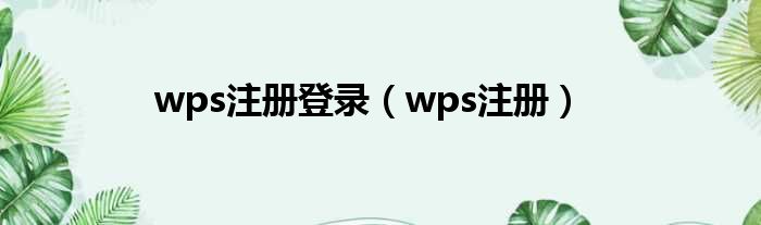 wps注册登录（wps注册）