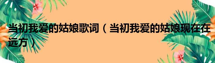 当初我爱的姑娘歌词（当初我爱的姑娘现在在远方）