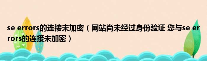 se errors的连接未加密（网站尚未经过身份验证 您与se errors的连接未加密）