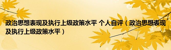 政治思想表现及执行上级政策水平 个人自评（政治思想表现及执行上级政策水平）