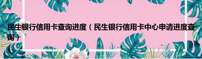 民生银行信用卡查询进度（民生银行信用卡中心申请进度查询）