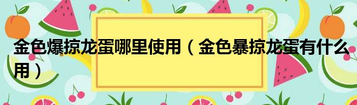 金色爆掠龙蛋哪里使用（金色暴掠龙蛋有什么用）