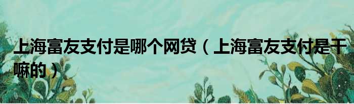 上海富友支付是哪个网贷（上海富友支付是干嘛的）