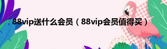 88vip送什么会员（88vip会员值得买）